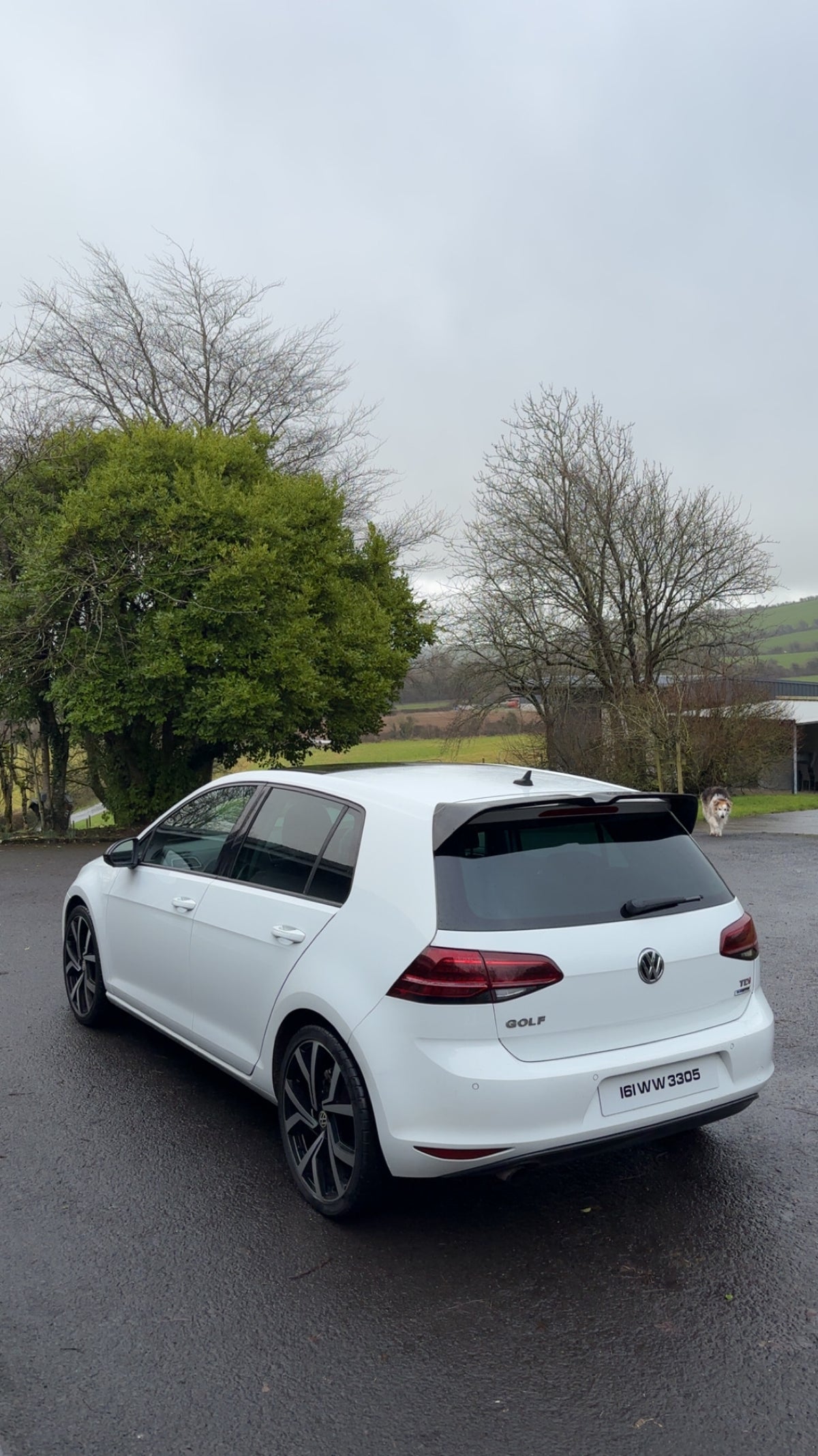 Mk7 Golf Kit (V2)