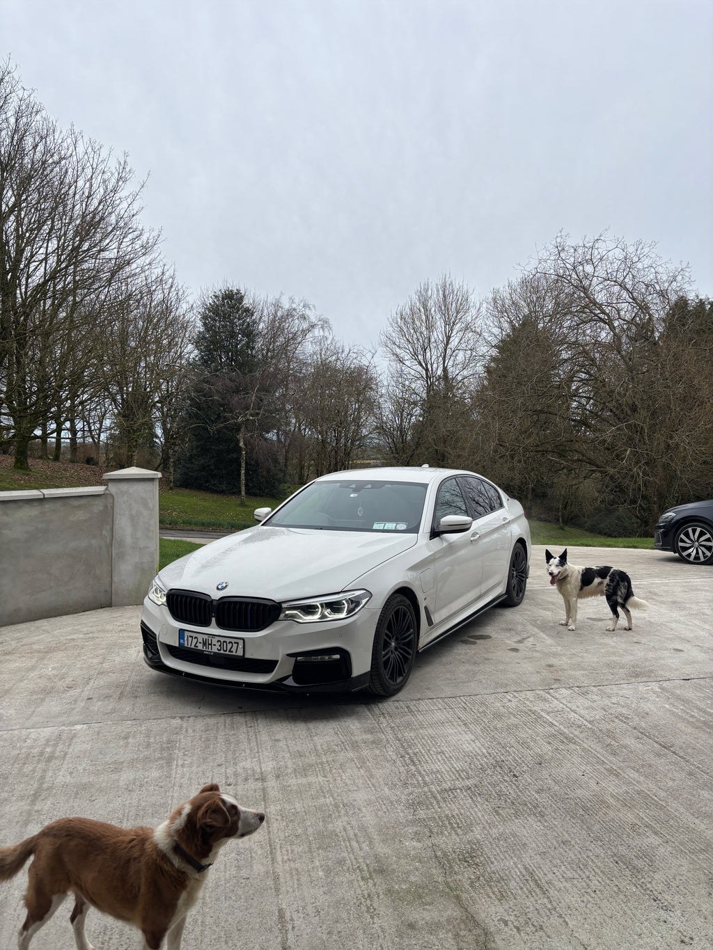BMW G30 Side Extensions